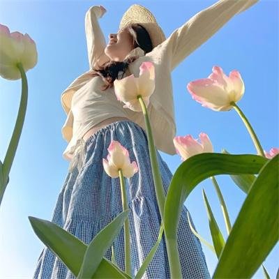 完美计划